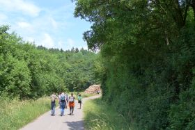 Ausflug in den Steigerwald